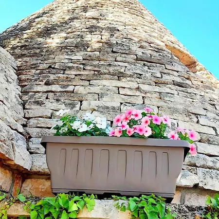 Trullo Roverella Apartment Locorotondo